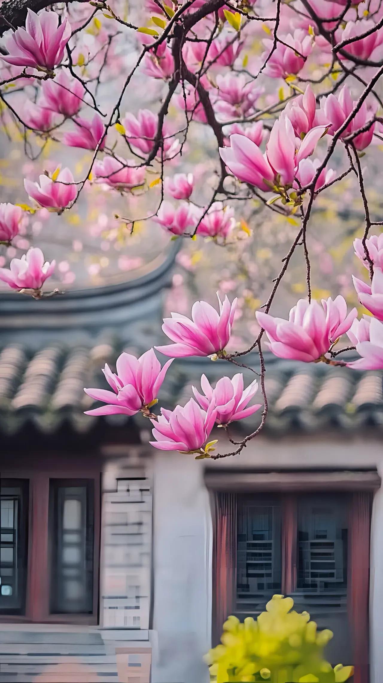 春光美，最美是眼前
【心静性闲】
春光美，最美的风景就在眼前，春有百花，桃花红杏