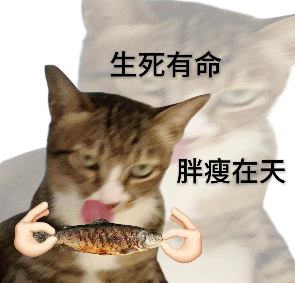 人果然对吃都是有执念的嘴上拼命克制，身体诚实想吃，还是那句话“民以食为天”家人们