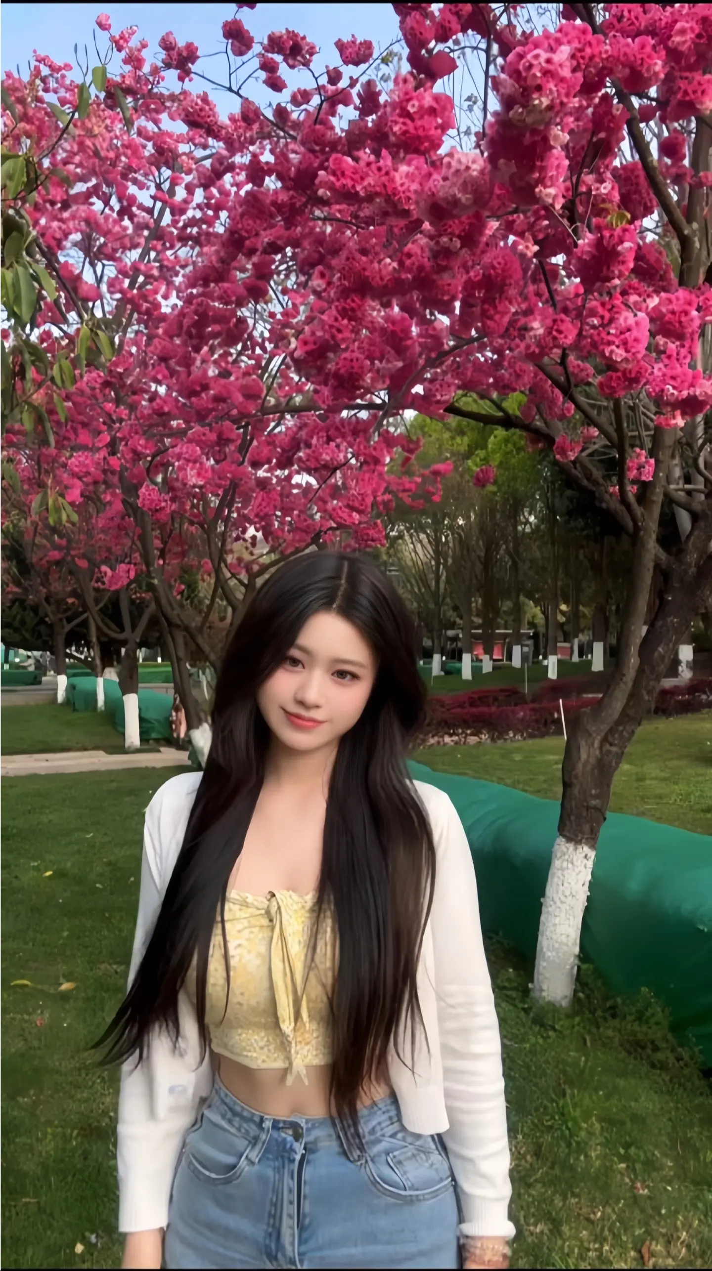 🌸。