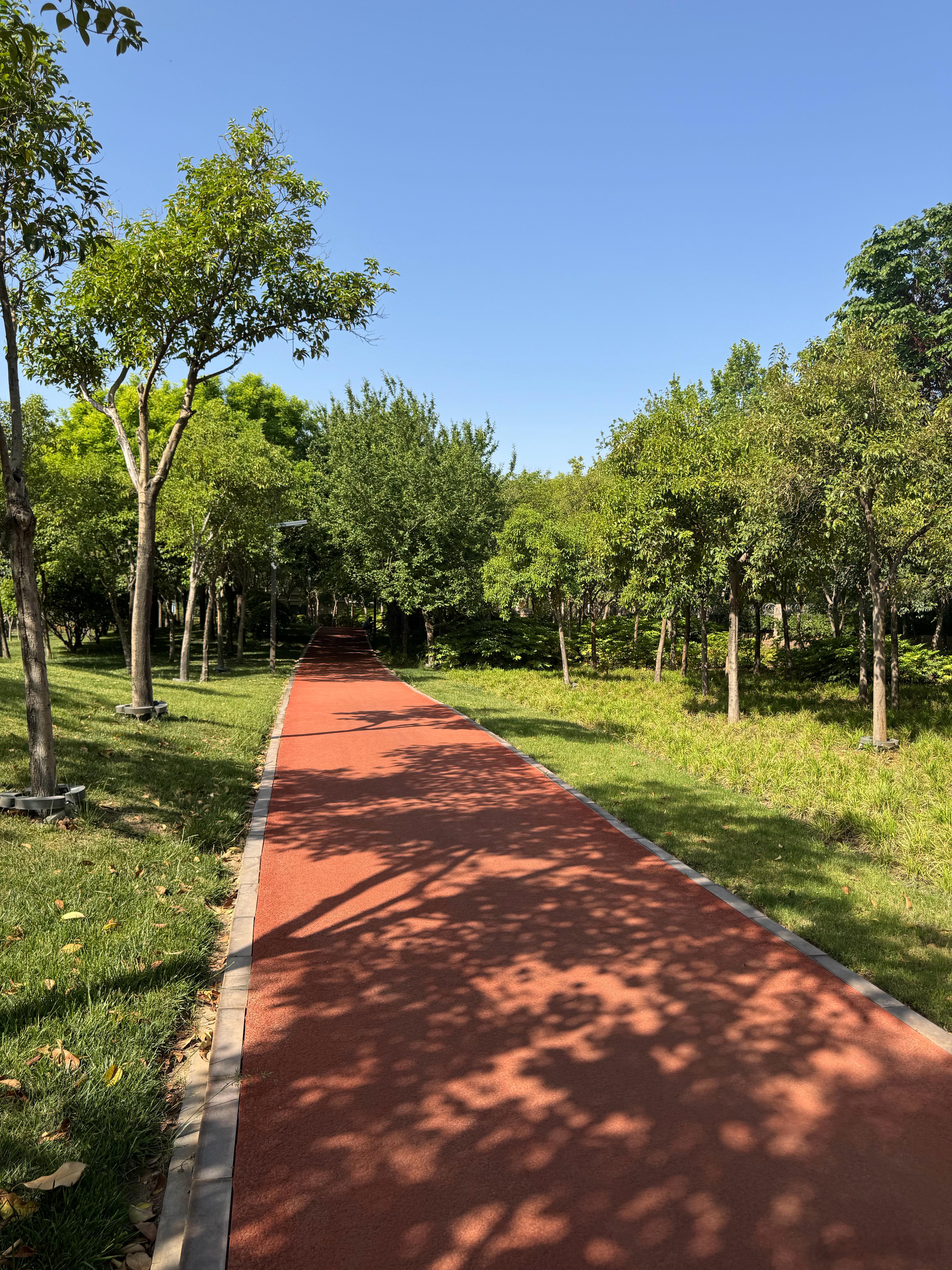 跑步坚持运动打卡 昨晚从杭州回来的飞机晚点，今早虽稍晚起，但仍坚持跑上家门口的跑