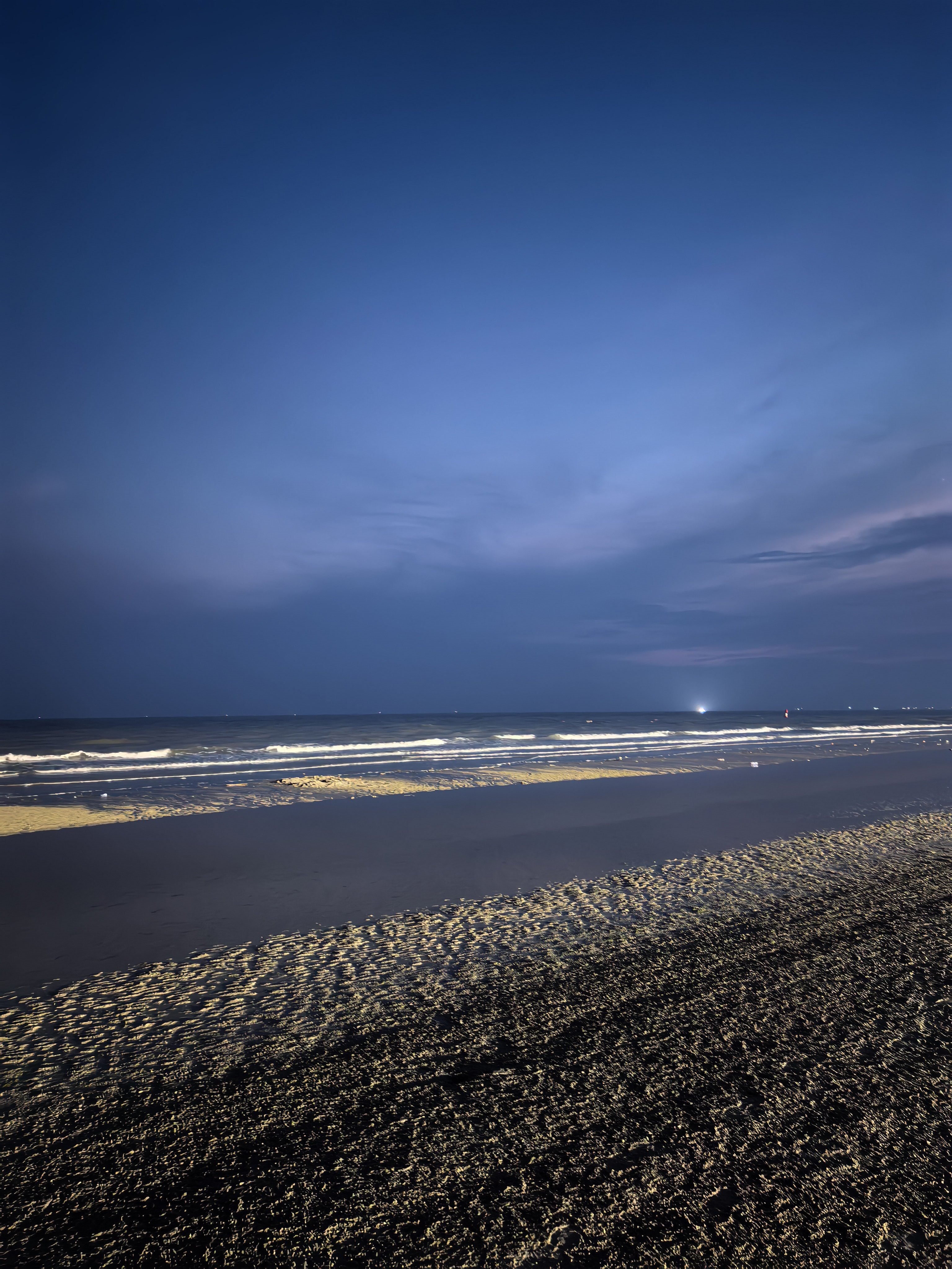 听，海哭的声音 