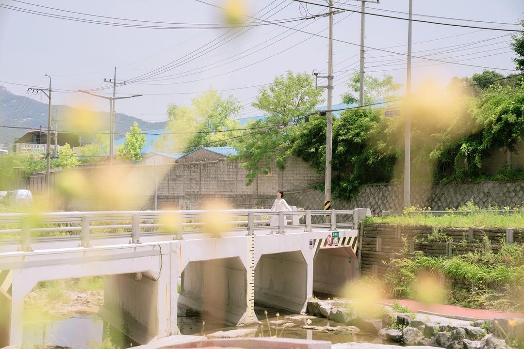 夏天ins:butter_nim ​​​