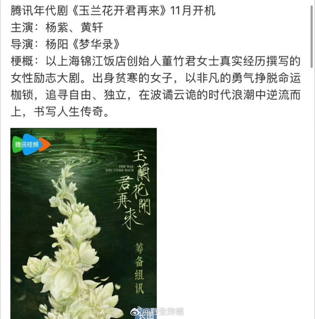网传杨紫将要跟黄轩合作鹅的女性励志年代剧《玉兰花开君再来》，导演是刘亦菲主演的《