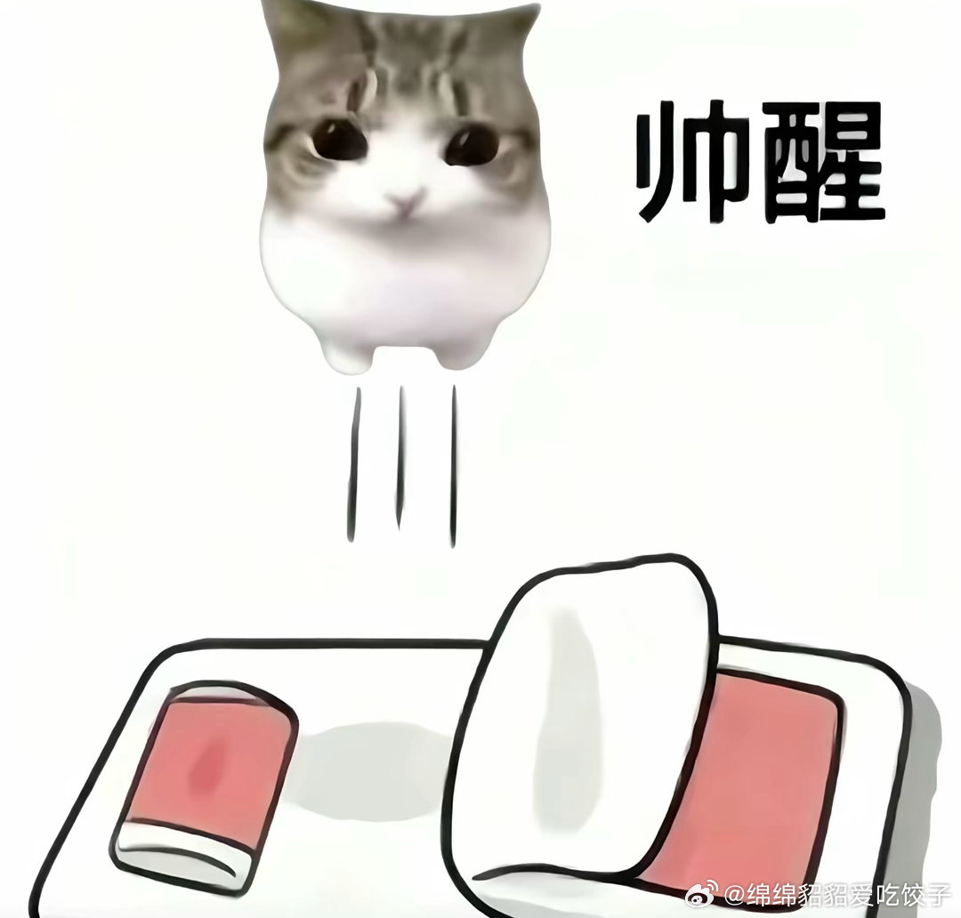 敏浩每天早上 