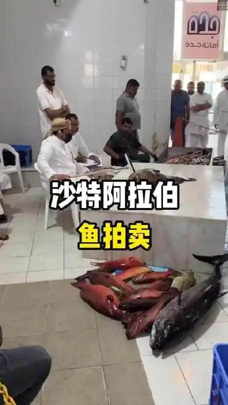 有人问，沙特阿拉伯人围着一条鱼，又是敲棍子，又是喊来喊去，这是在干什么？难道这是