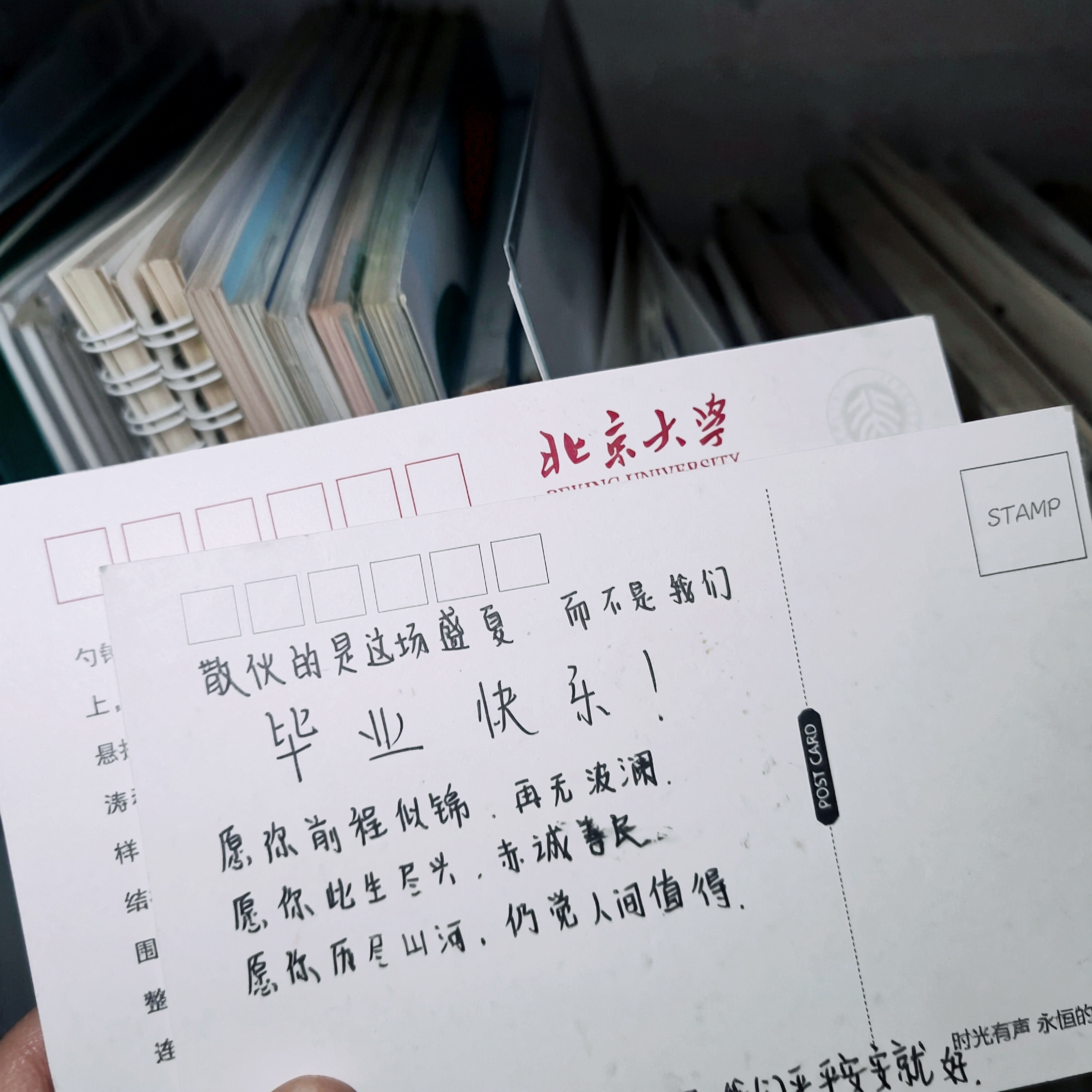 死去的回忆突然攻击我 