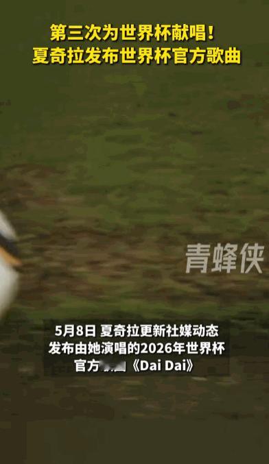 谁说江山代有才人出，难抵经典常驻人心？5月8日，足坛乐坛传来重磅喜讯，传奇歌手夏