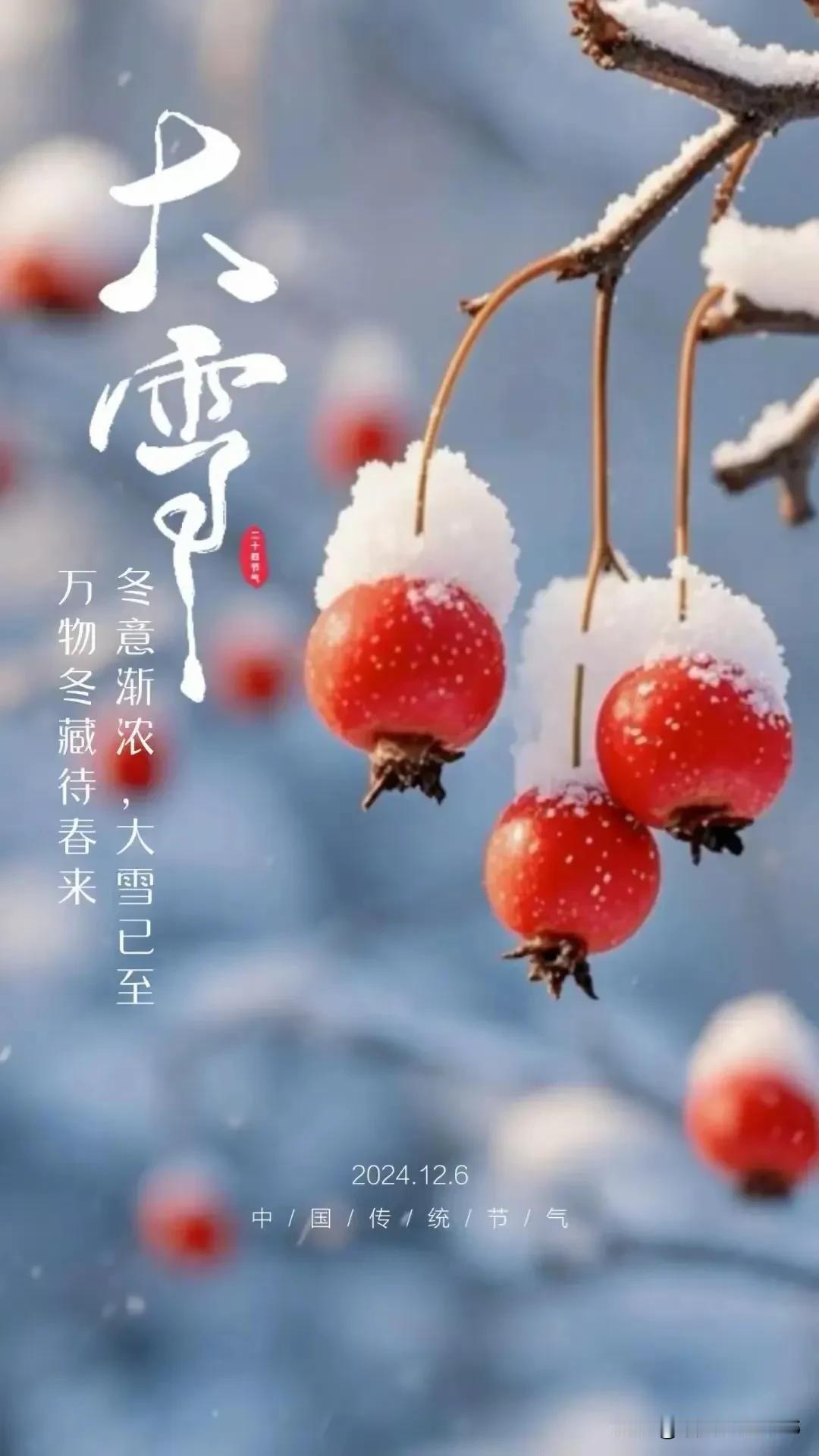 《大雪》

大雪骤然至，天地一笼统。 风旋鹅毛飞，混沌失西东。

琼花肆意舞，万