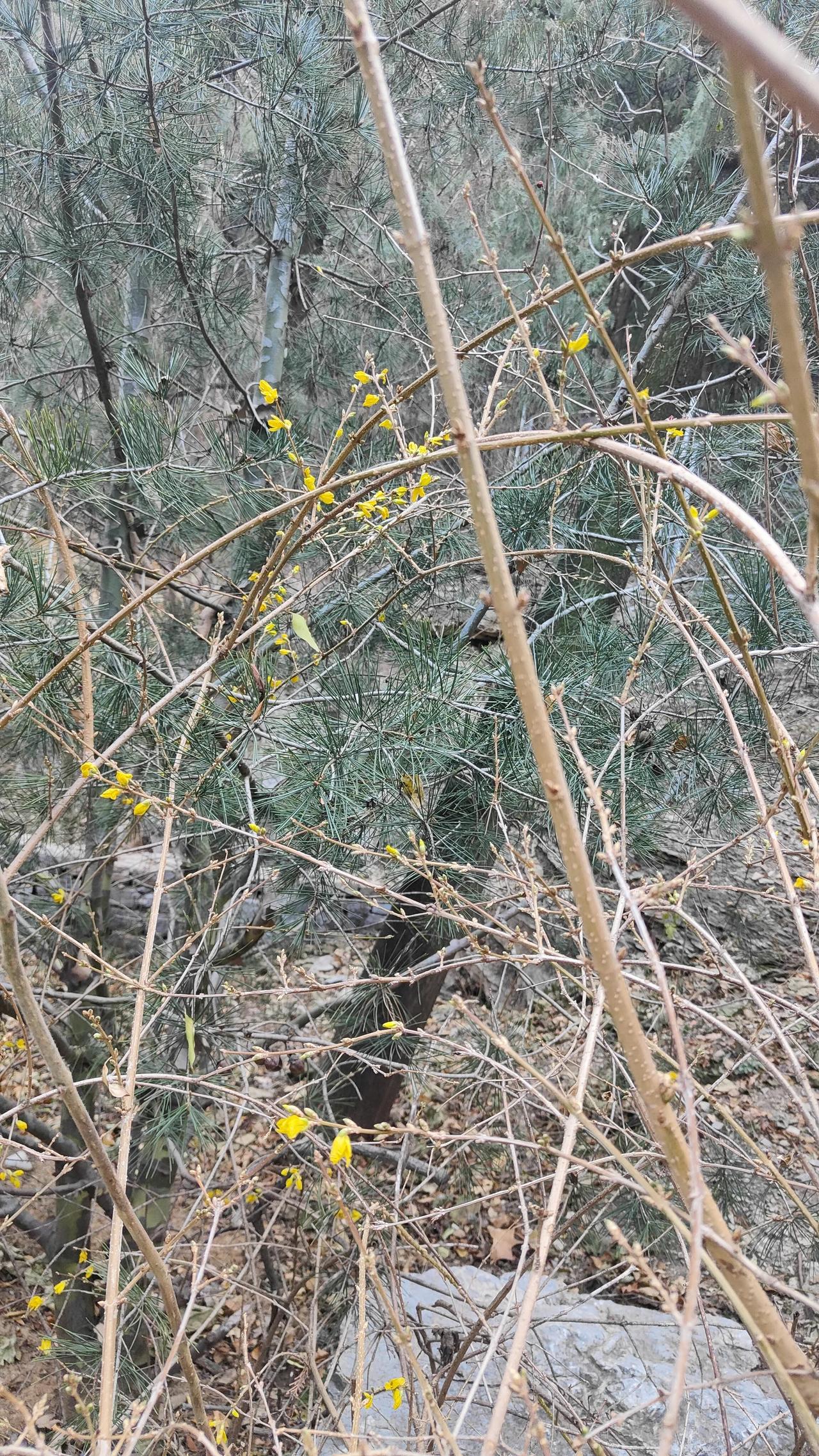 怪不得都说济南适合生活。来济南半年了，住在英雄山附近。这几天才知道住的地方走上2