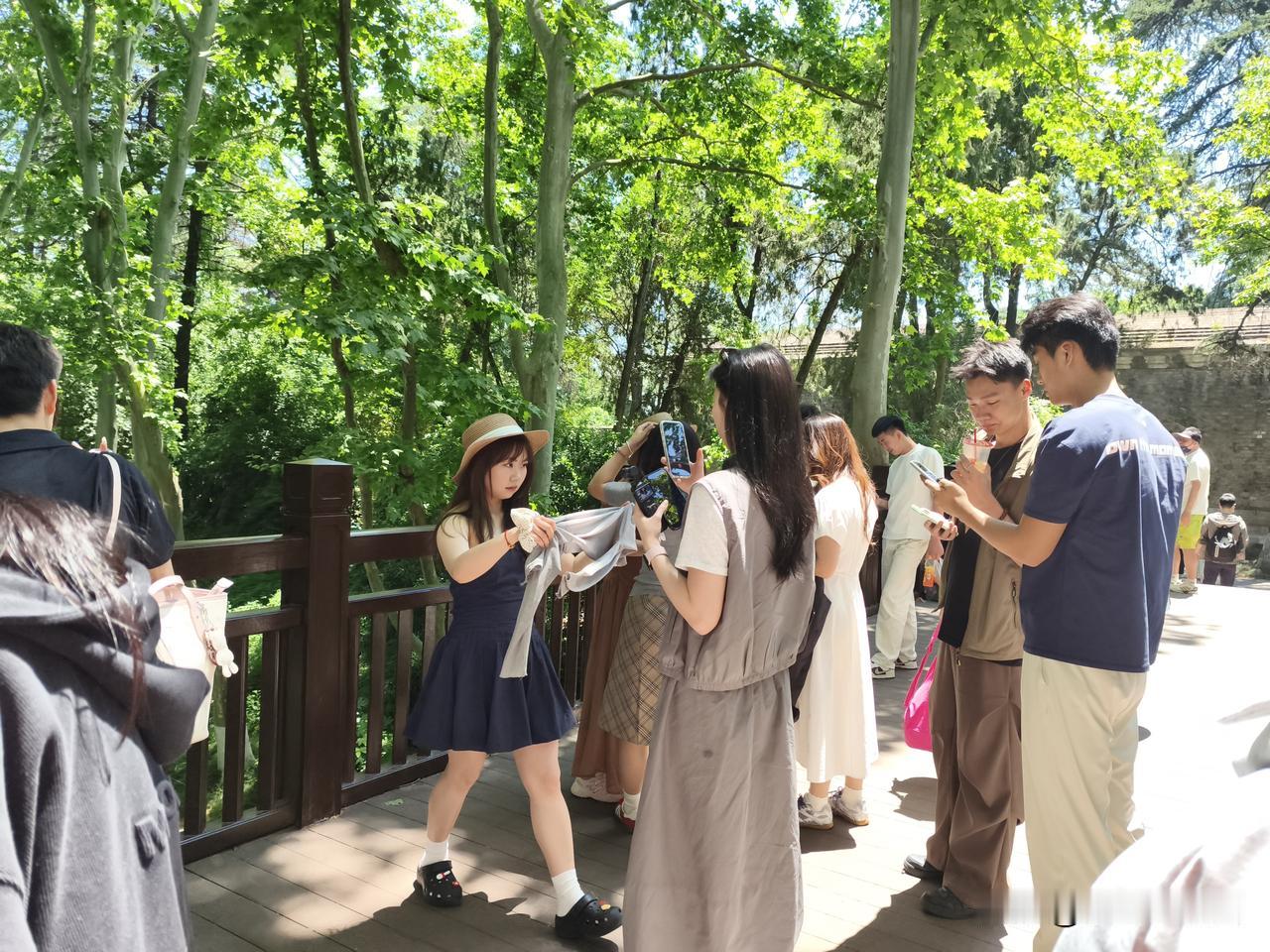 可以说钟山风景区可以打卡拍照的好地方真不少，外地游客可以问豆包就知道了[呲牙]