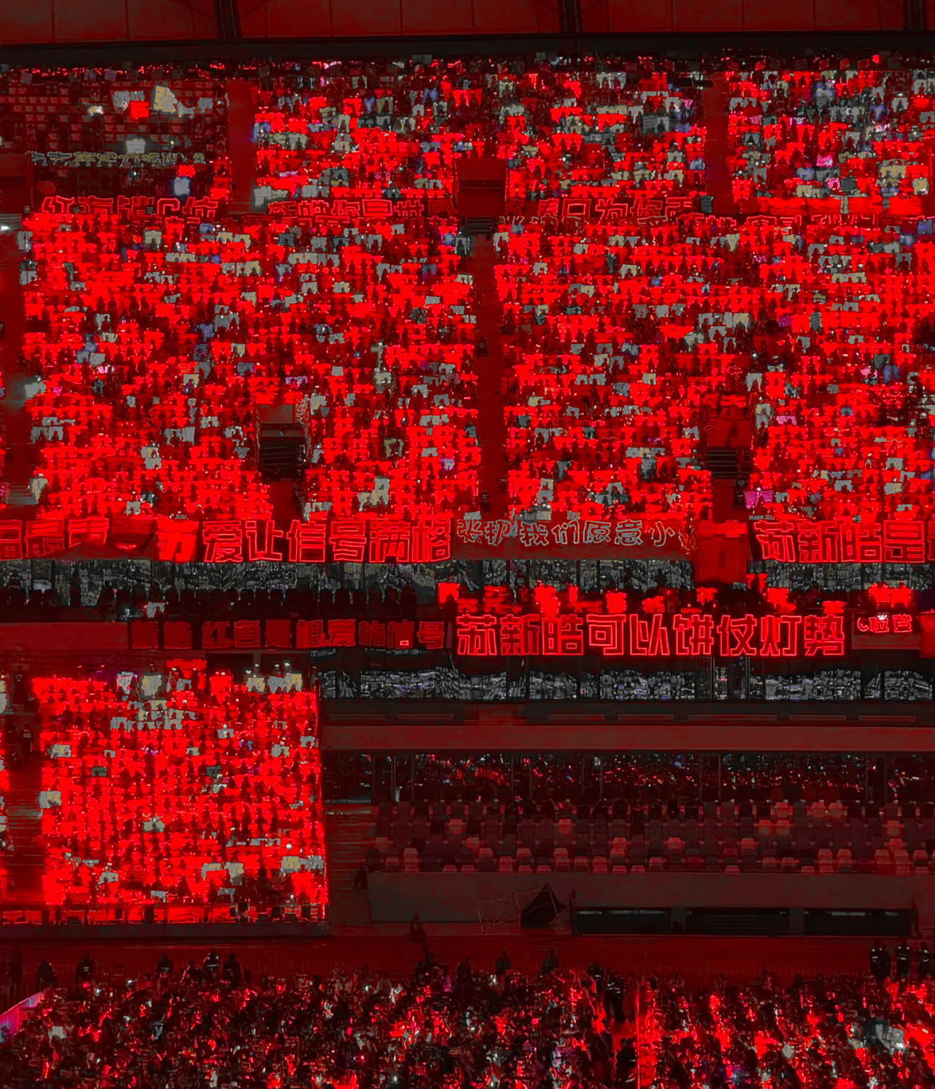 苏新皓 信号中心你们也为苏新皓啄米吧！ 