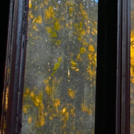 早安。新的一天，我选择带着好心情出发，不纠结过去，不焦虑未来，专注过好当下这一刻