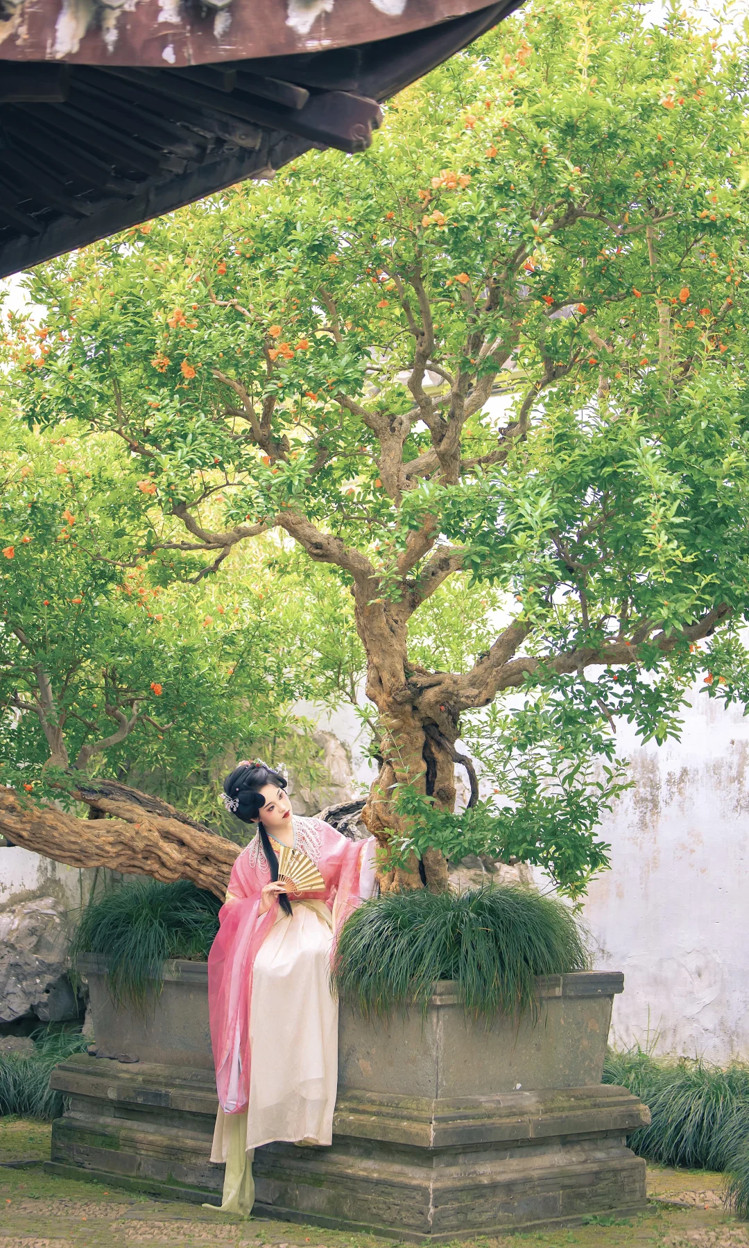 客｜“粉色娇嫩，步步生春”🍃