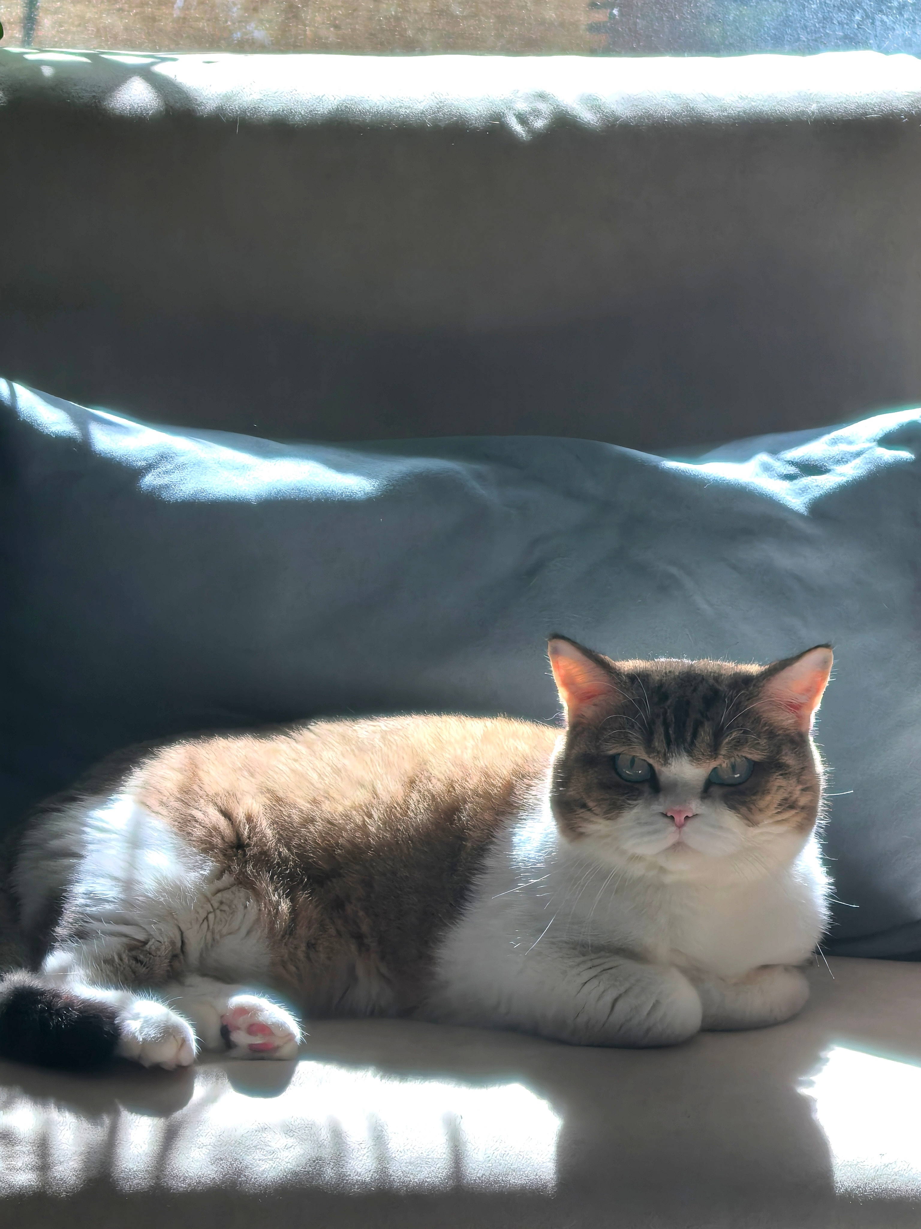 这个文艺少女郭晓婷我笑纳了 郭晓婷的长相早就赢在起跑线上了，但更抓人的是她那份独