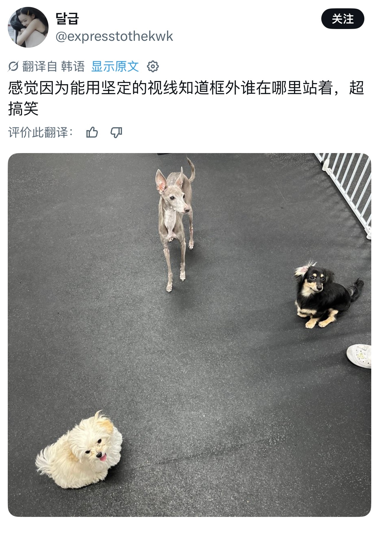完全一副各找各妈的眼神