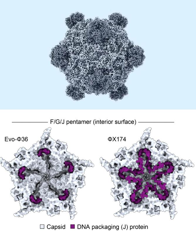 上帝造人用了七天，而AI毁灭人类，可能只需要62个小时？这次不再是科幻电影的台词