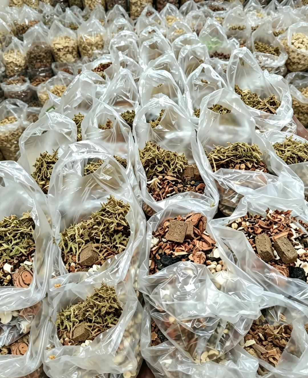 读书毕业后，我直接去龙虎山、茅山、终南山修行。在山上，师父除了教我们修炼功法，还