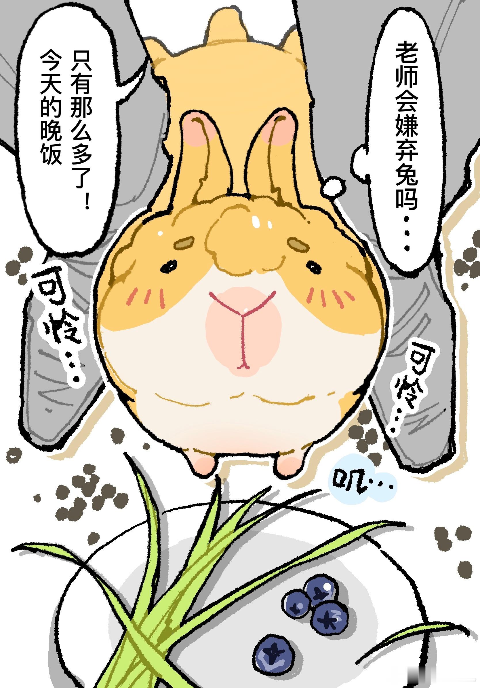 因为太肥肥了！所以今天的晚餐只有那么多了！
