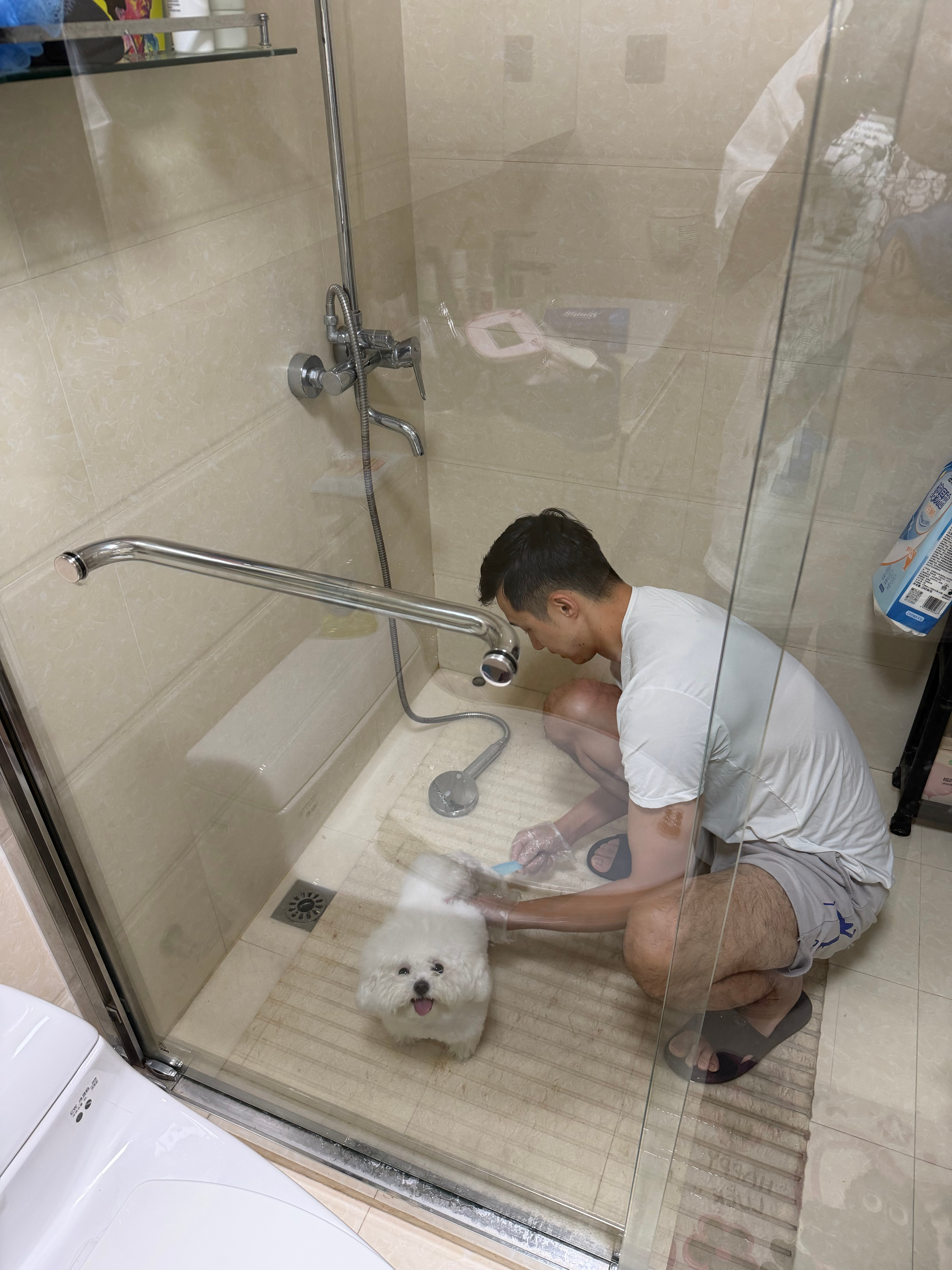 一大早的小年糕拉💩沾屁股上了 宠物店又没开门可怜天下父亲心～ ​​​