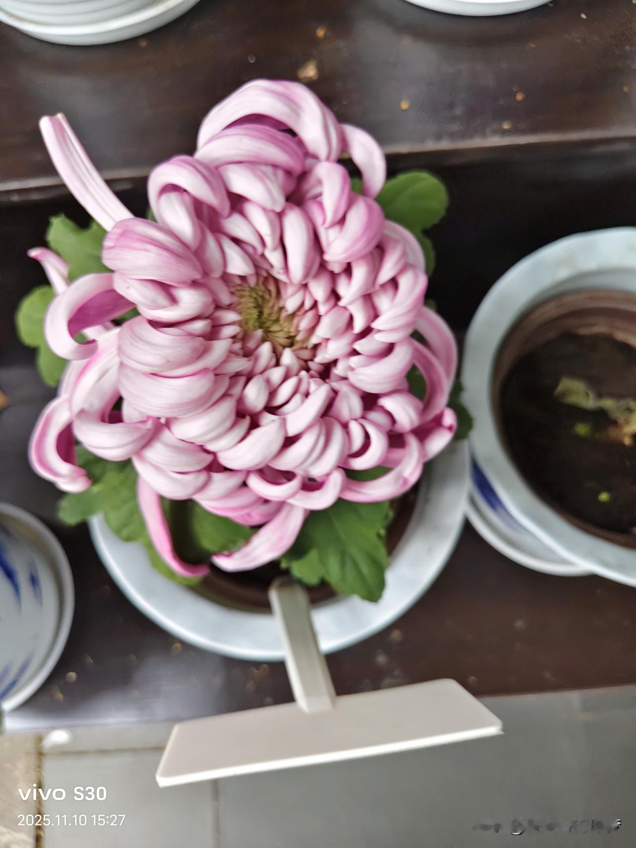 就是去全国各地走一走，准备先去北海