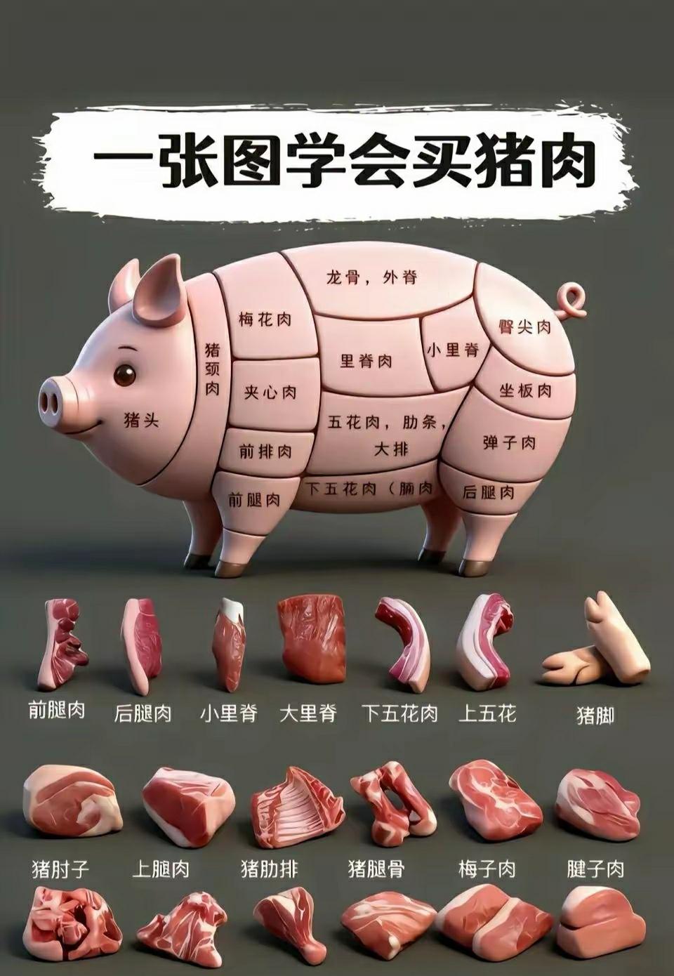猪一身都是宝，为人类做了多大贡献？
猪肉应该是我们中国人（非素食者）补充营养的最