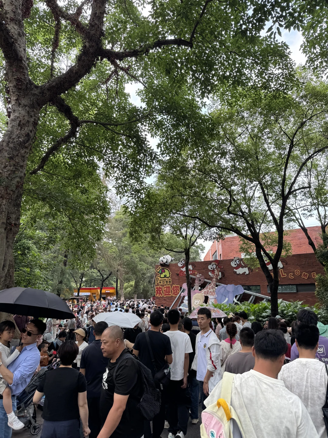 五一广动人流量如我所料