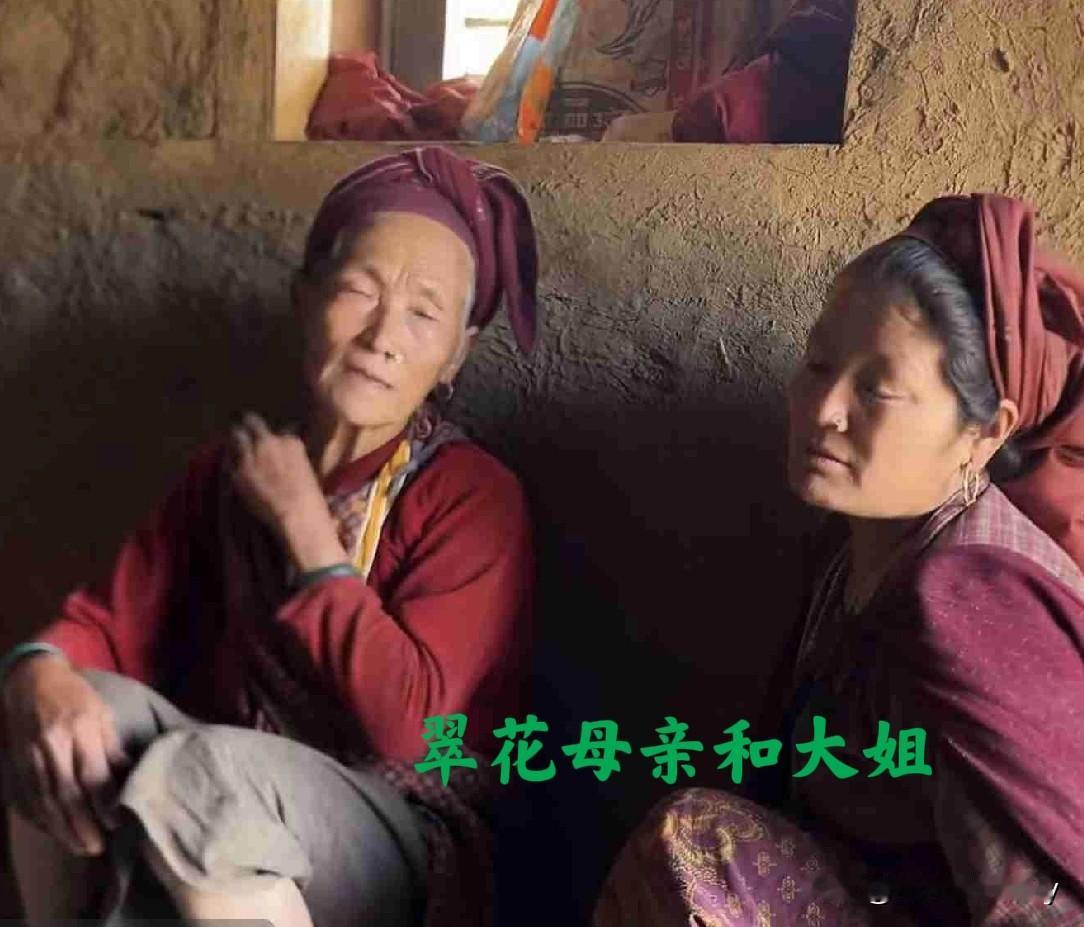 空空已向翠花证实，他们三姐妹总共向世界贡献了20个孩子。三姐妹中，仅翠花大姐就生