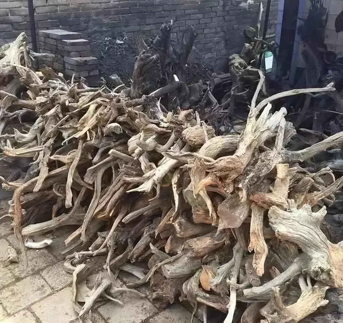 前些年拿命换来的东西，现在只能当柴烧了 