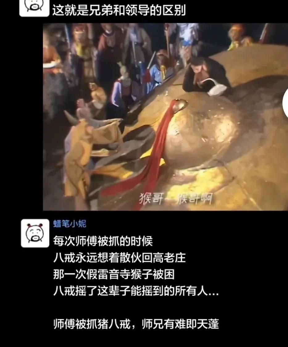 职场里你和领导的关系，

说到底就是同事关系，

和兄弟关系是不同的，

兄弟关