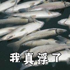 每天一条冷知识 淡水鱼被冲进大海后，多数会在入海口的淡水缓冲区掉头游回江河。游不