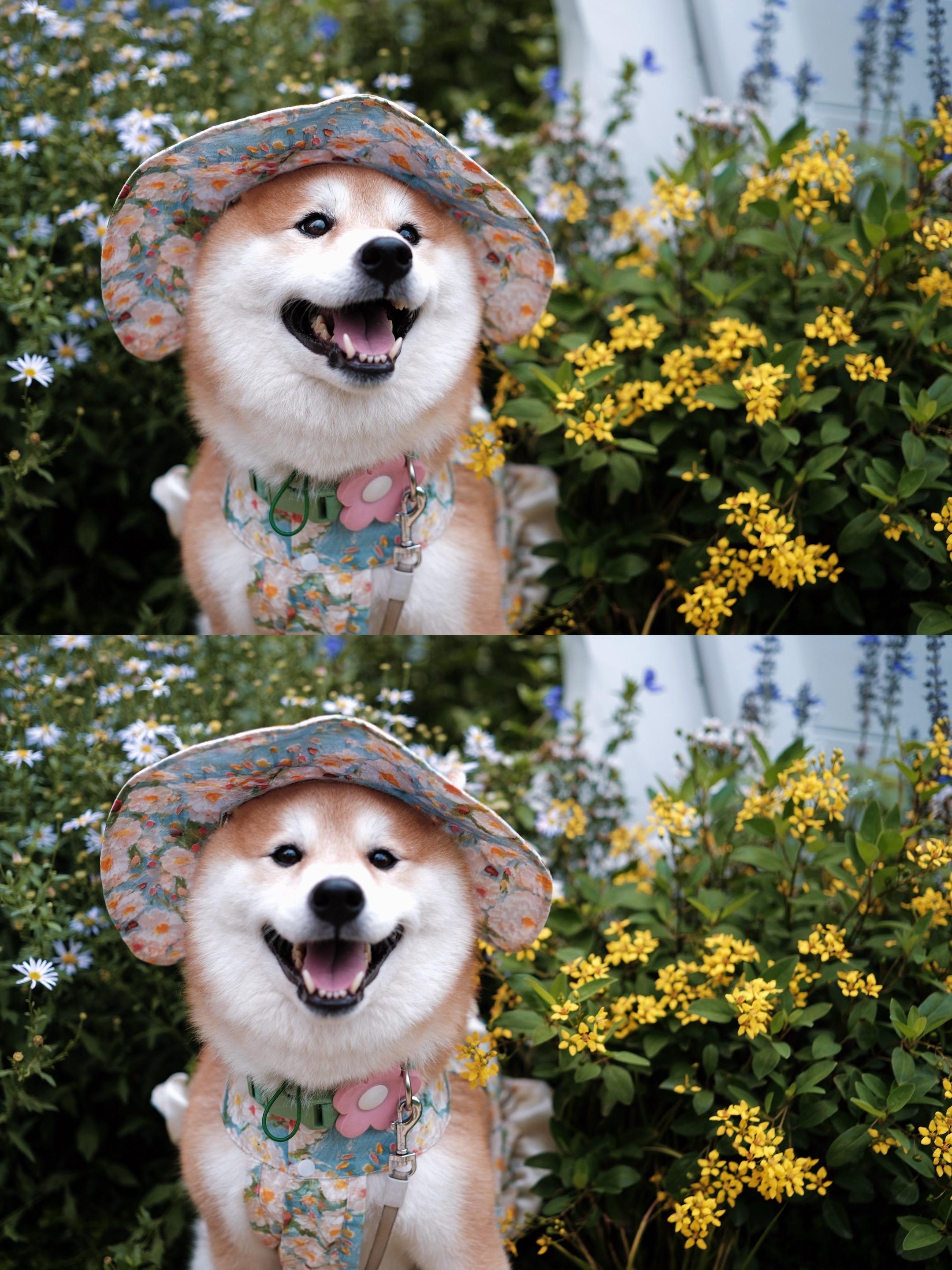 秋天适合见面，但秋田不适合🫸🏽。