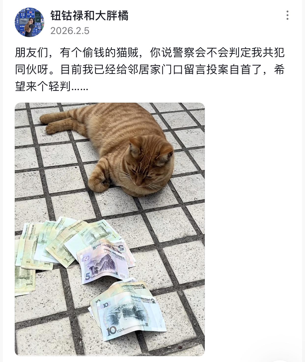 这个是真“招财猫”呀！
起因是博主养了一只名为阿奴的橘猫，看上去普普通通的，没什
