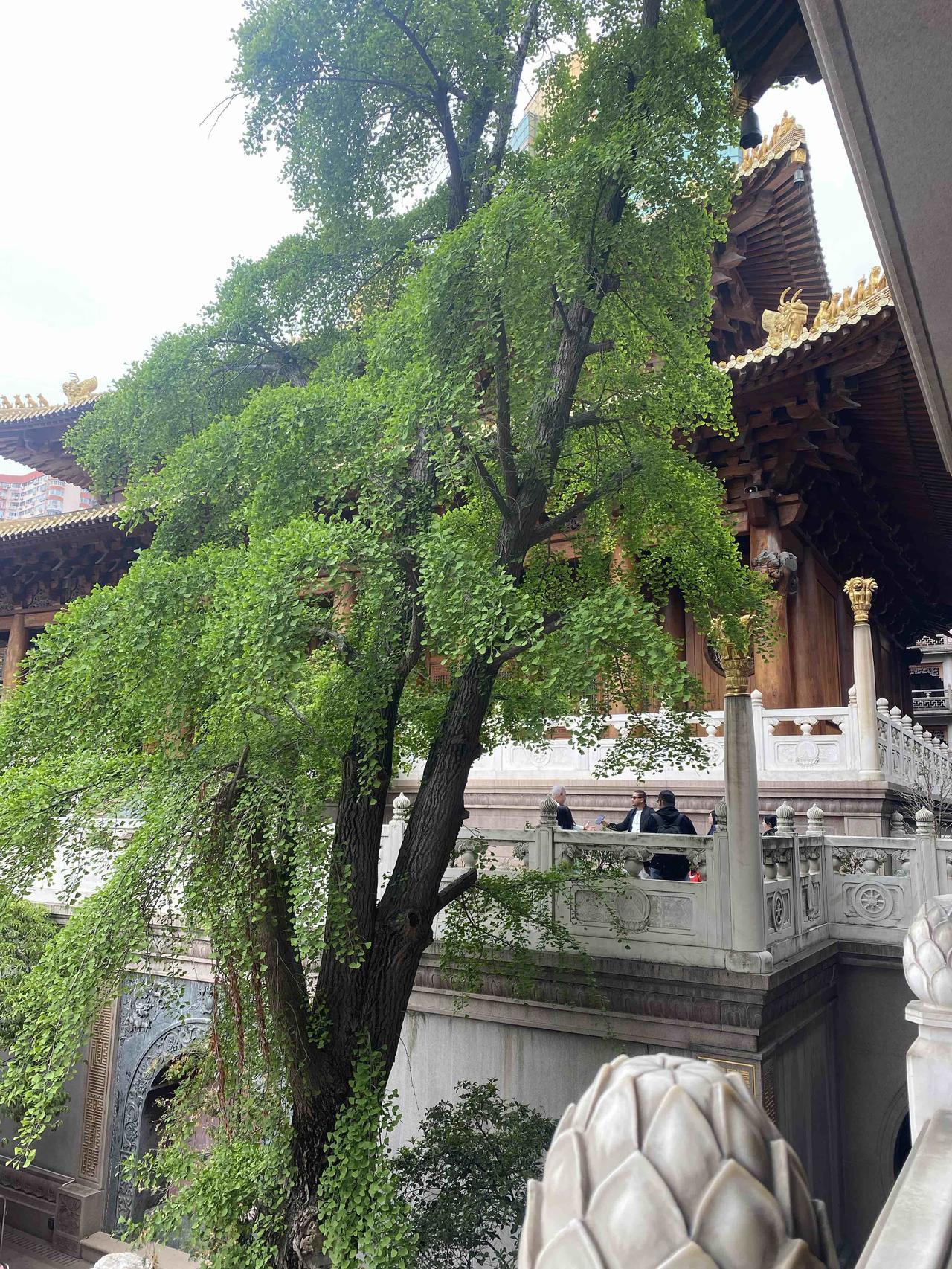 别不承认：
所谓选择恐惧症
本质是穷
所谓的优柔寡断
本质就是怂

很多时候穷人