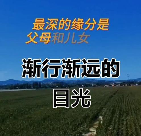 现在的家长把孩子越养越远了，现实这个故事特别触动我——放手既是得到，又有几个父母
