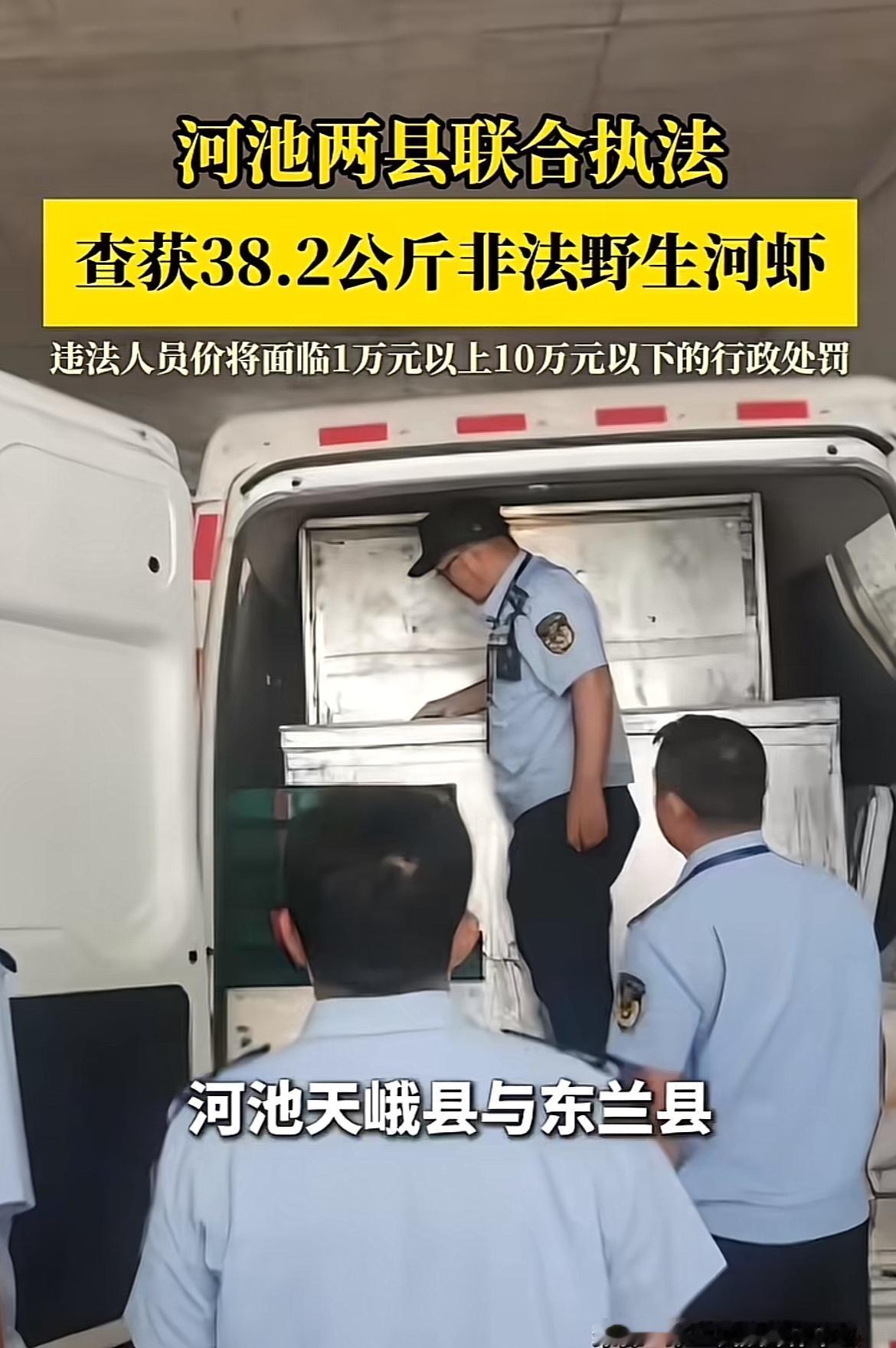 河池两县联合执法查获38.2公斤非法野生河虾，这事儿干得漂亮！非法捕捞野生河虾不