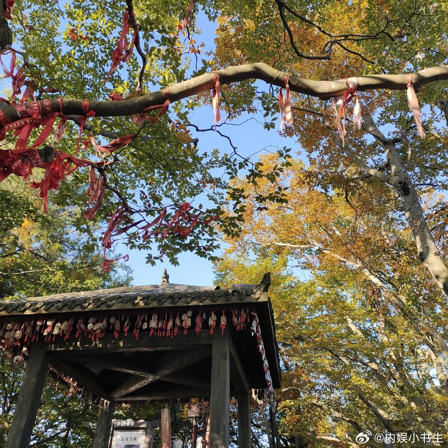 #四川光雾山红叶含秋量爆棚#眼下正是去四川的光雾山看红叶的时候，漫山遍野的景色也