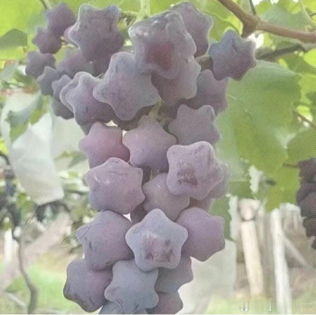 Myself必殺技  幸福是用心养的，我们的每一帧都很难忘，重要的不是什么都拥有
