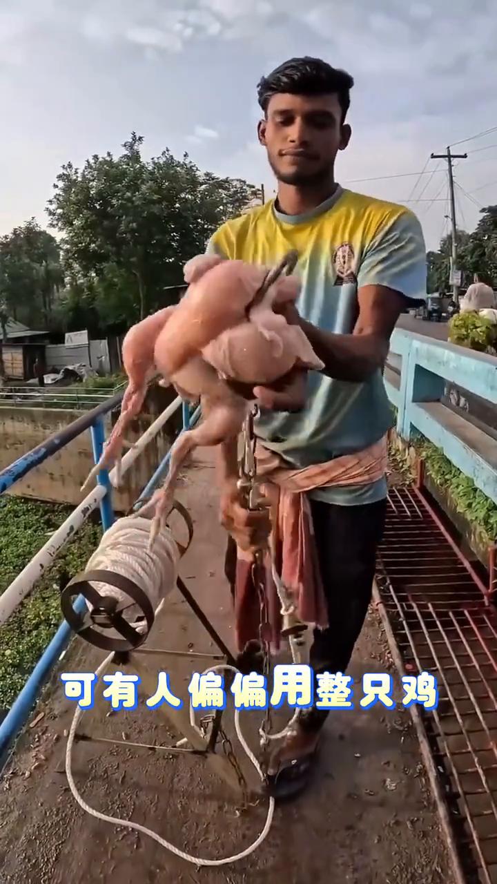 鸡肉钓鱼。
很多人以为钓大鱼得用高级鱼饵，可有人偏偏用整只鸡去钓。新鲜鸡肉的血腥
