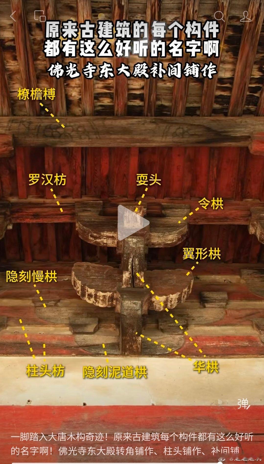 中国古建筑木构件，梁、柱、斗拱的名称示例。 
