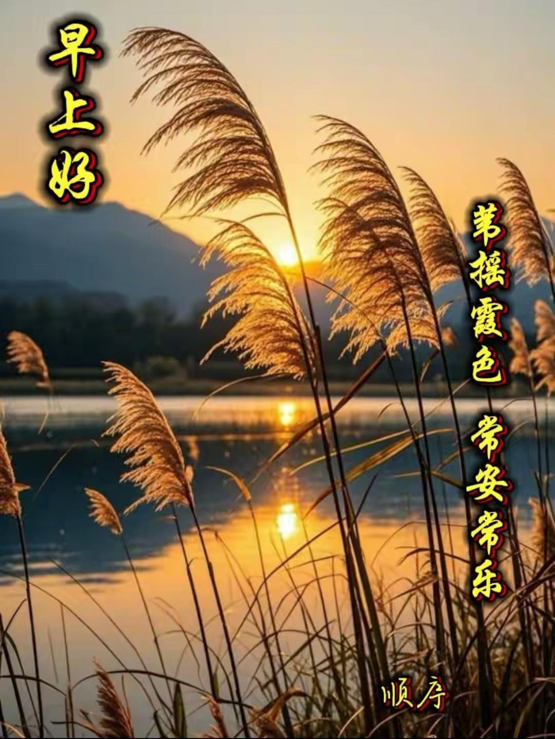秋天芦苇摇拽，阵阵凉意沁人心脾，让人感到秋风嗖嗖，湖光山色美轮美奂，让人陶醉！