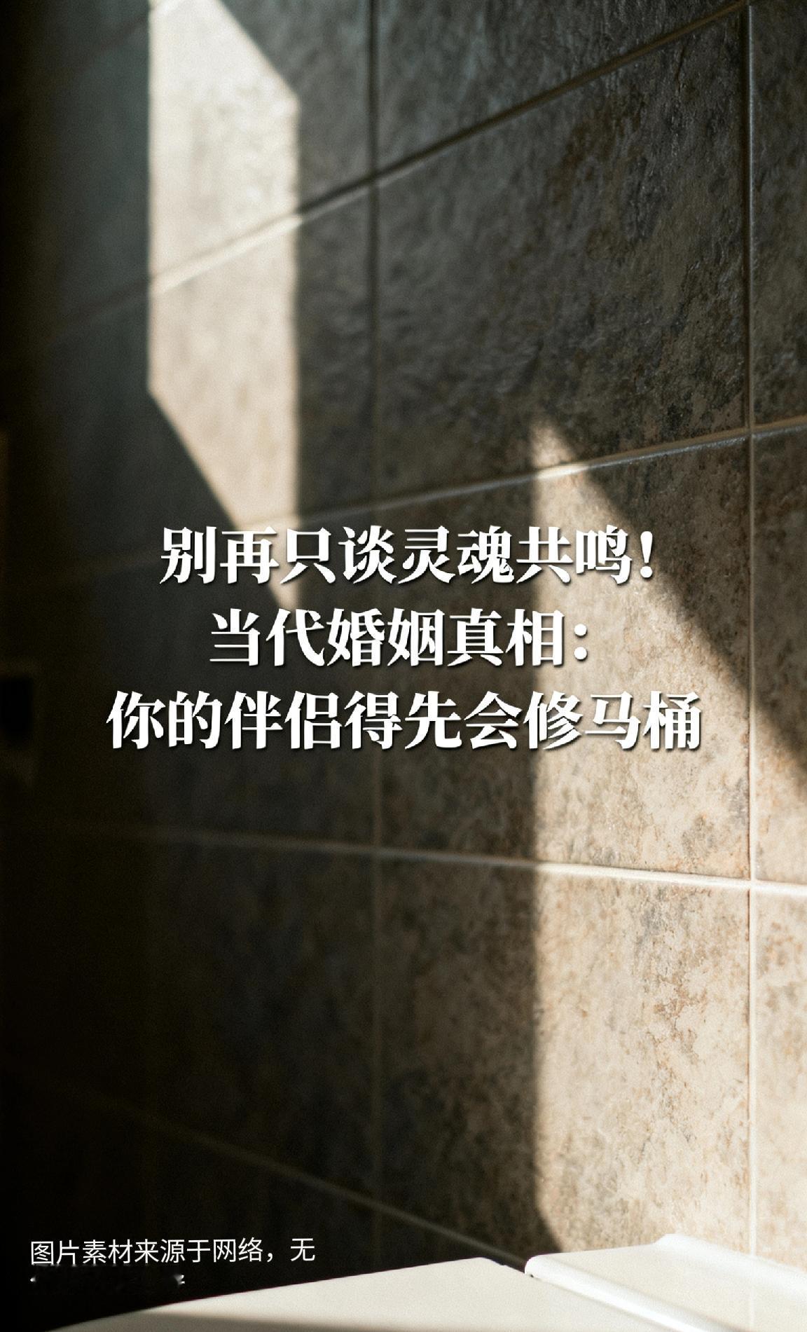 别再只谈灵魂共鸣！当代婚姻真相：你的伴侣得先会修马桶
 
最近社交平台上一句“爱