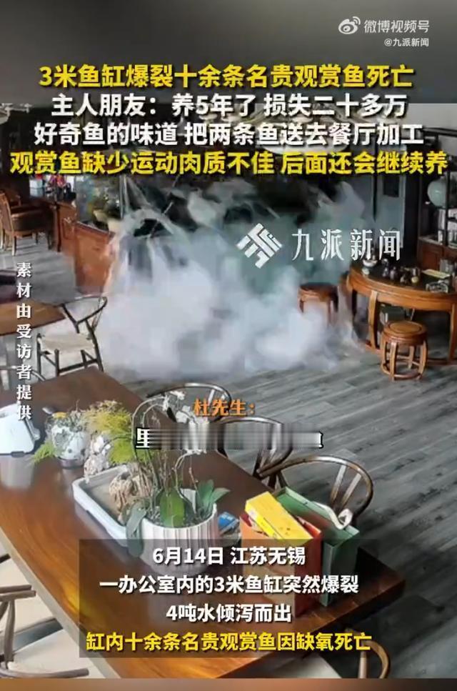 “有钱人的世界我不懂！”江苏无锡，一男子养了16条名贵观赏鱼，价值数十万，却突然
