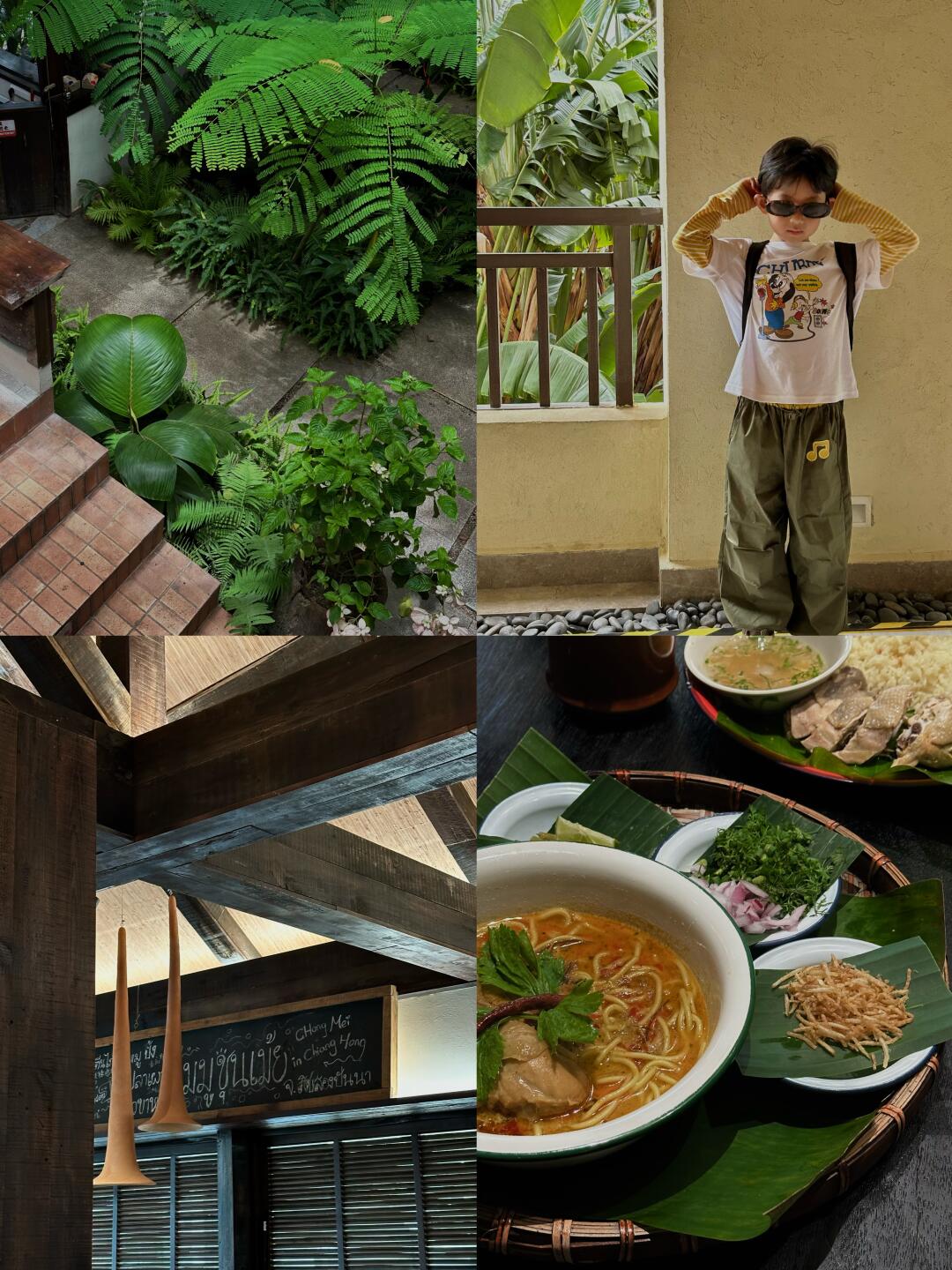 版纳吃吃喝喝🐘椿楣