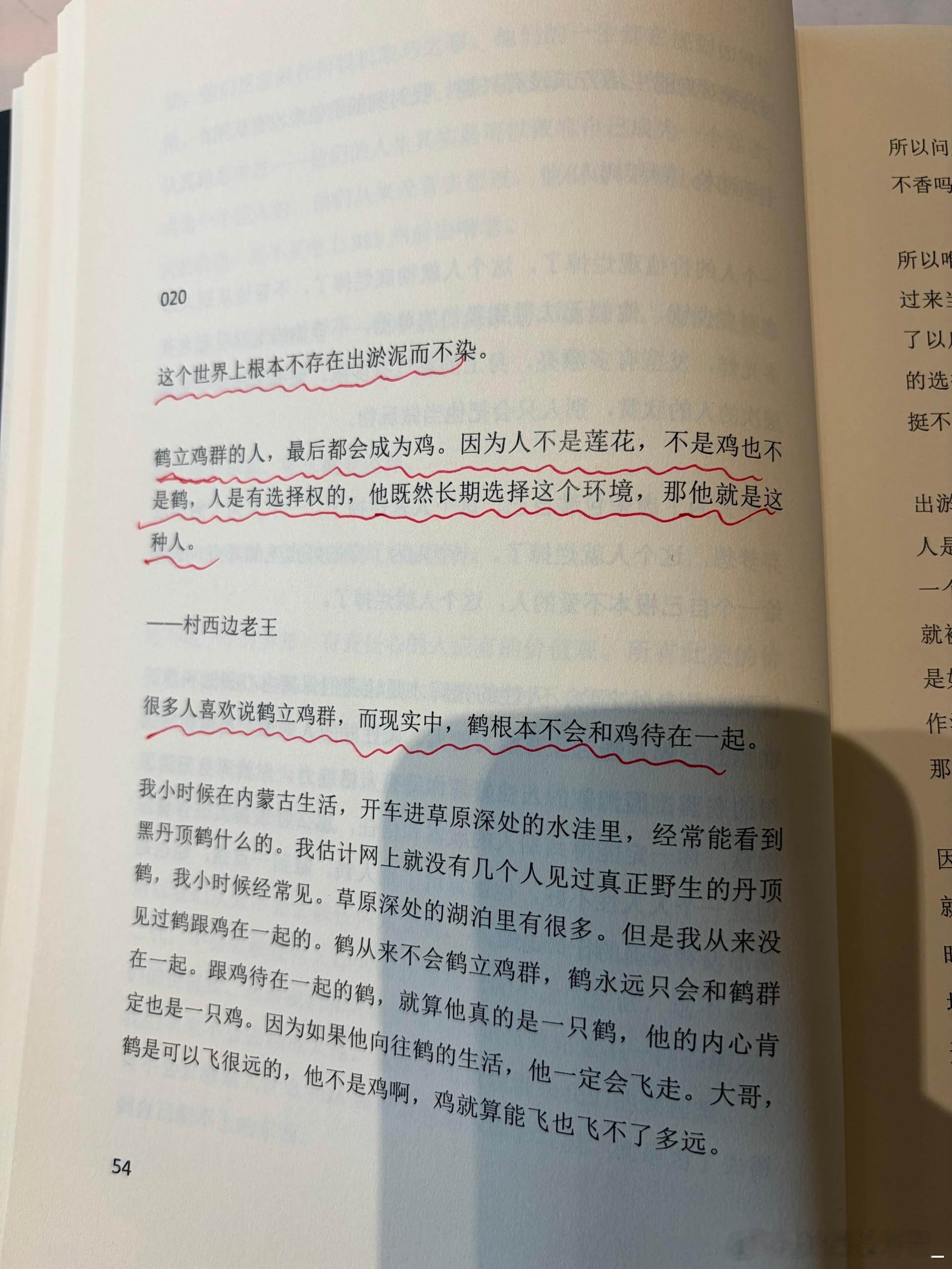 这个世界上根本不存在出淤泥而不染。鹤立鸡群的人，最后都会成为鸡。因为人不是莲花，