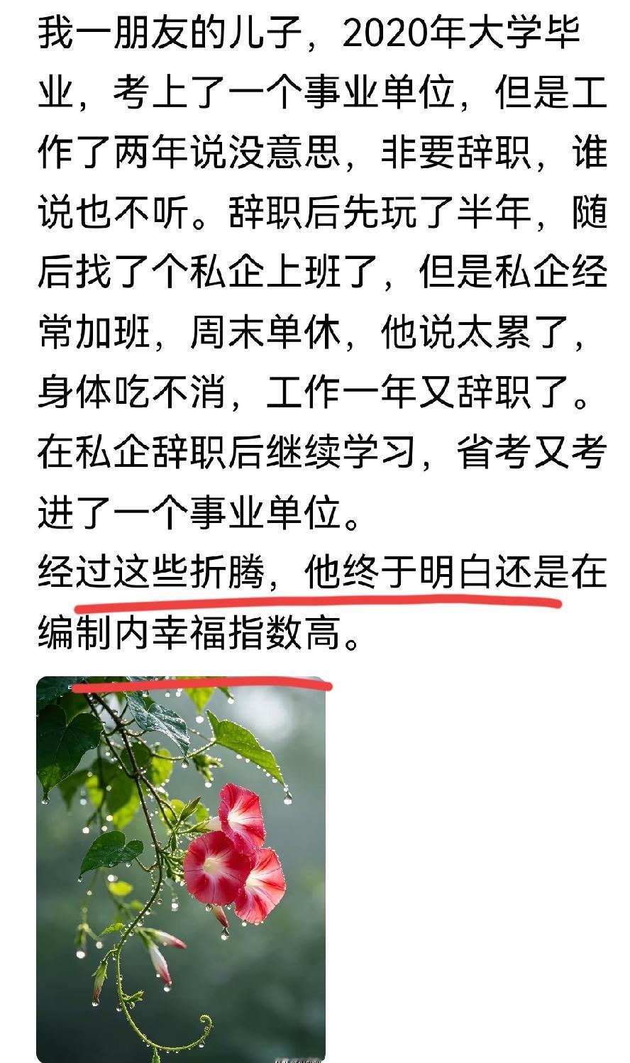 辞了事业编，进了私企，然后到底还是考进了事业编。

明白考公考编这几年为啥这么火