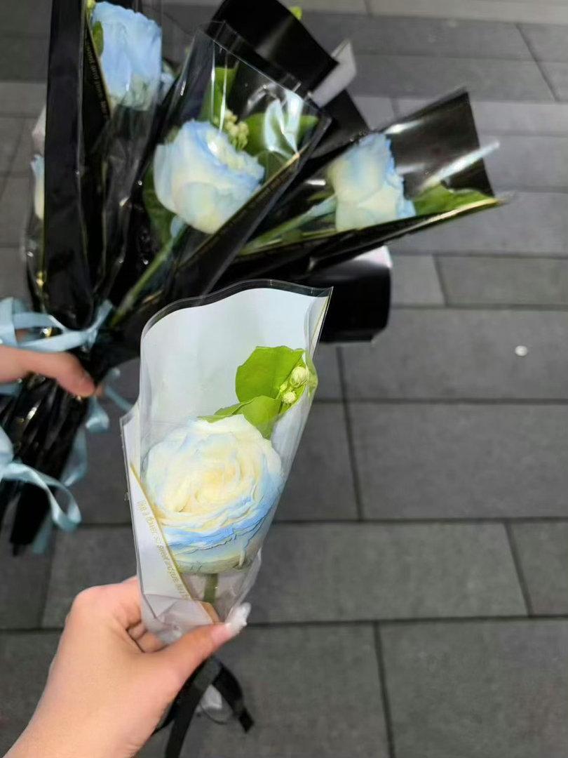 白鹿520给粉丝准备了花白鹿520这天营业状态直接给到满分，氛围感拉满太暖心啦，