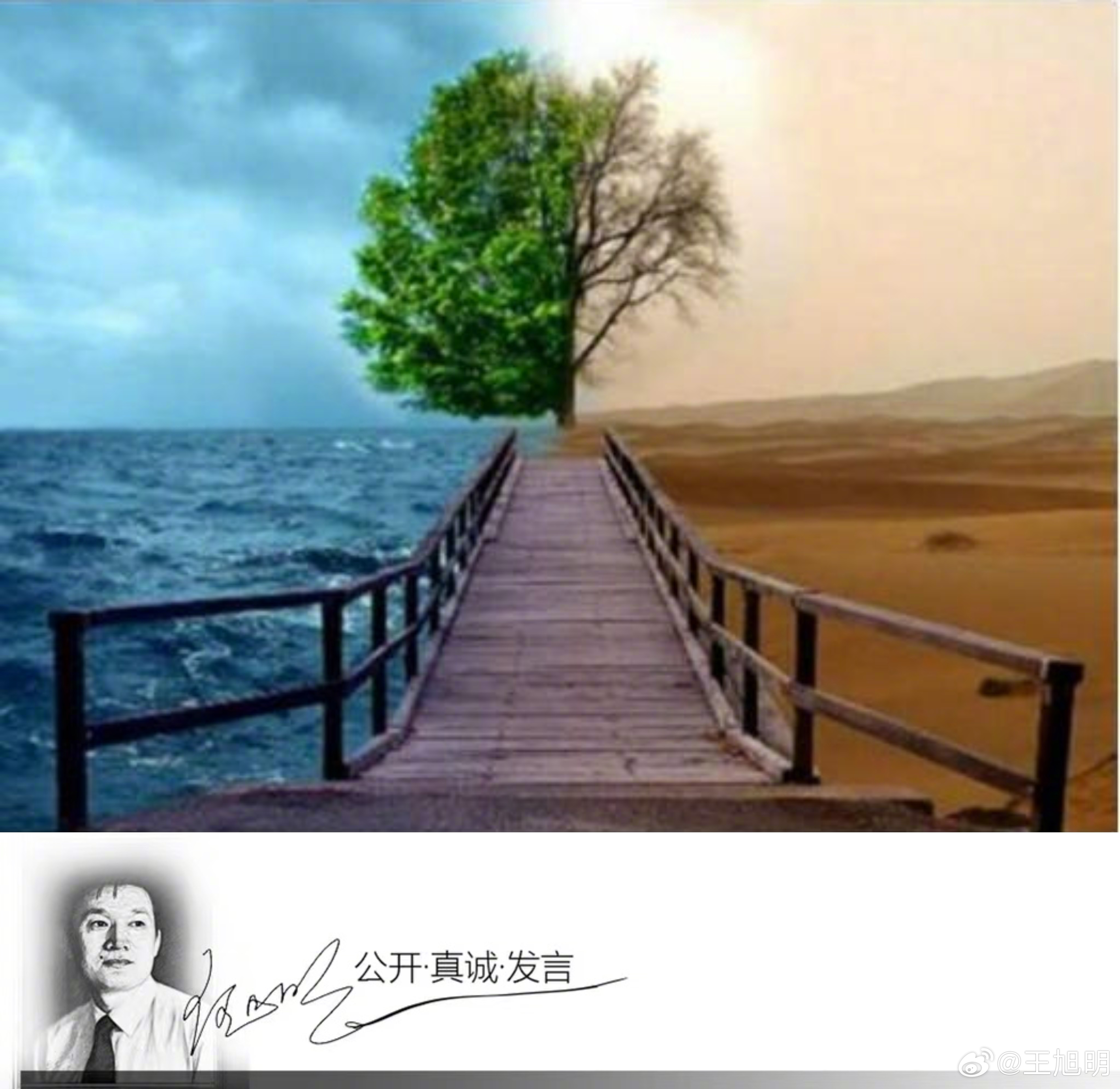 #明夜思#听说一位我认识的年过九旬的长者，常年卧床打针吃药，最近不仅拒绝打针吃药