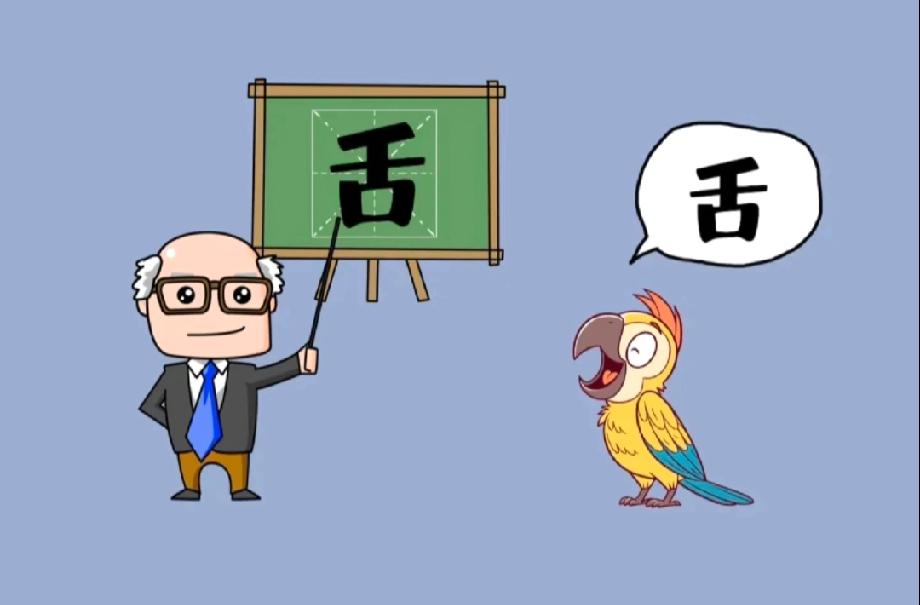  挑战一下！看到鹦鹉学舌的画面猜成语，评论区秀出你的答案