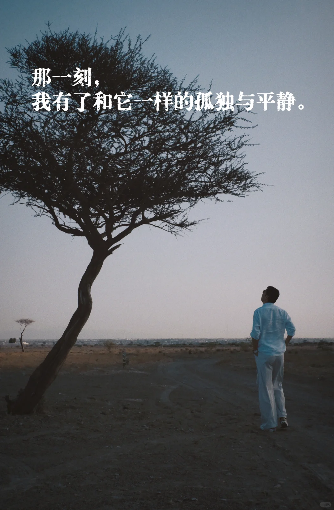 那一刻，我有了和它一样的孤独与平静。