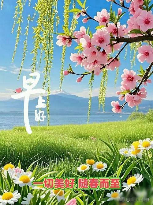 当然
谁都不易
没有谁容易
所以不要羡慕别人
不要嫉妒别人
你看到的
都是给你看